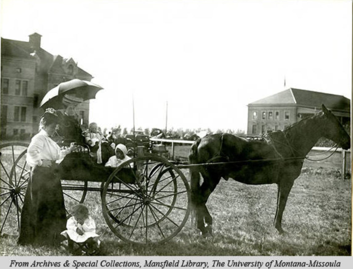 Horse and buggy on the University campus